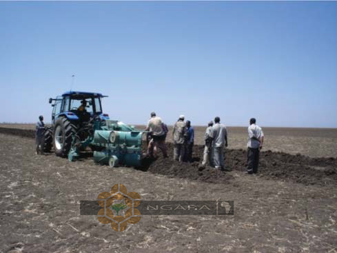Treno plough in Sudan ~ NGARA