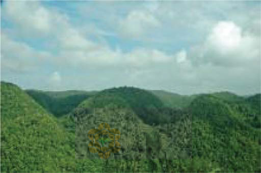 news-Jamaica-funding-ngara