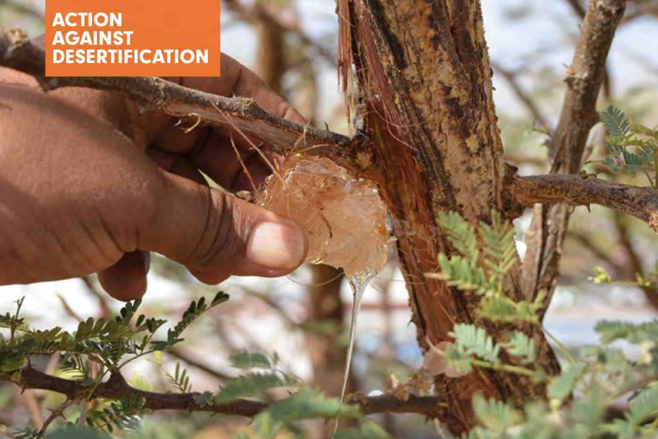 NGARA Framework of Priorities 2018