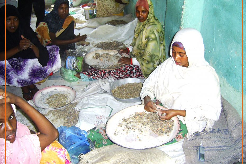 Women Cleaning Gum Resins_SOMALILAND